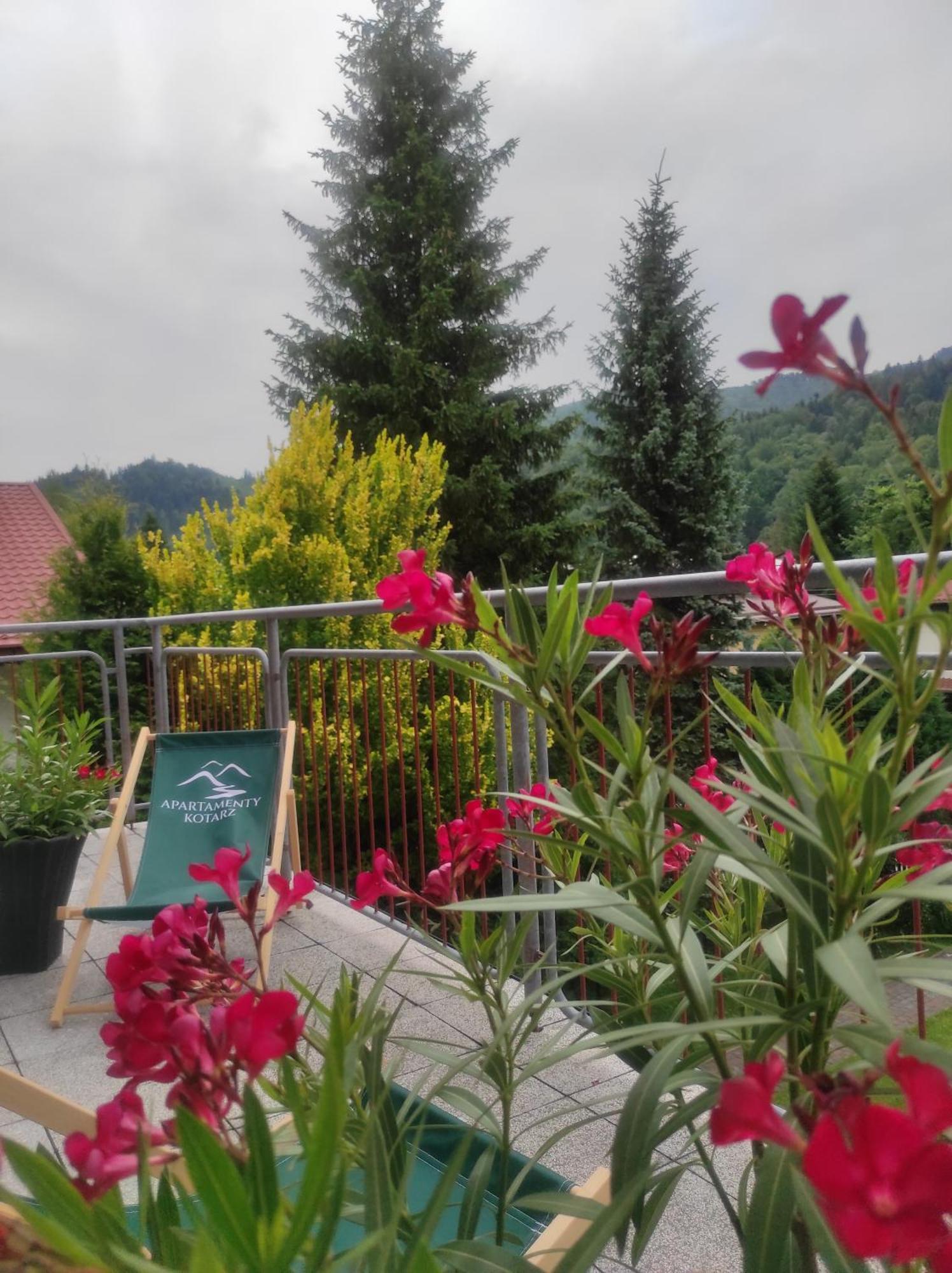 Apartamenty Kotarz Sauna&Relaks Brenna Luaran gambar